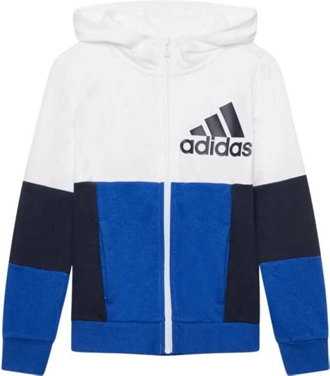 Adidas Winterjassen voor heren online 